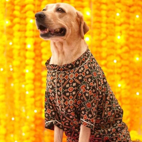 Clothes & Accessories